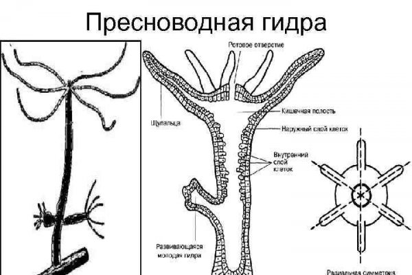 Сайт krn