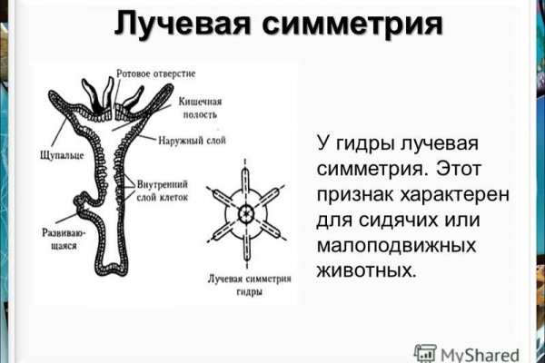 Кракен оригинальный