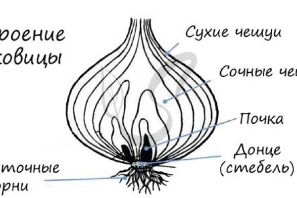 Кракен zerkalo pw